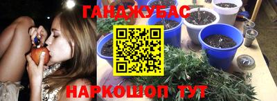 крисы Кунгур