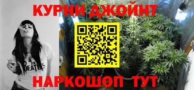 крисы Кунгур