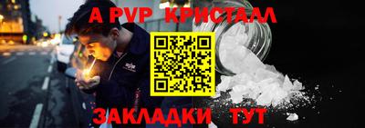 крисы Кунгур