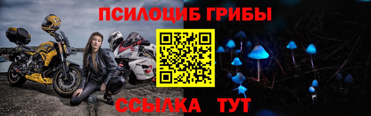 Когалым  Псилоцибиновые грибы GOLDEN TEACHER  Вход с VPN  Галлюциногенные грибы прущие грибы 